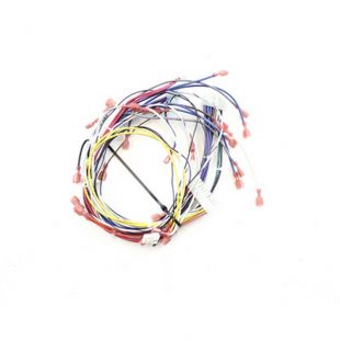 MAIN CONTROL BOARD WIRE HARNESS 